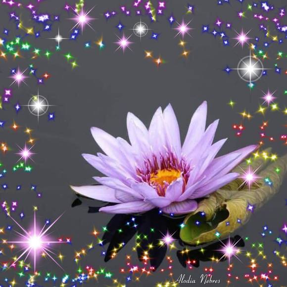 Meet your Posher, Ha - Picture 1 of 1